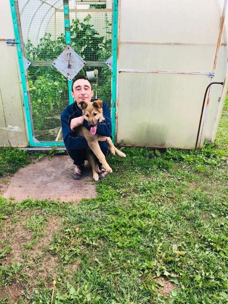 ���������� ������, ���� ������� �������, 35 ���, ������������ ��� ����� � ���������