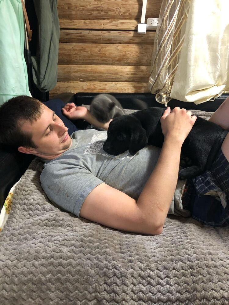 ���� 25380752 ������� �������, 32 ����, ���� ���������� � �������