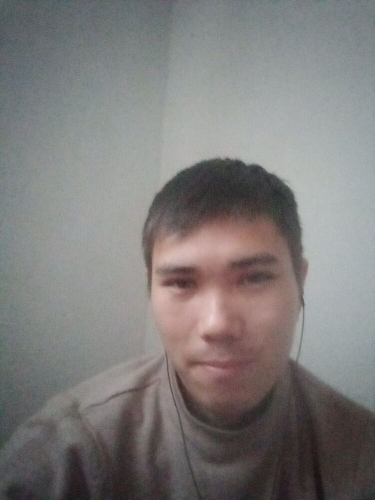  50534292  , 26 ,    