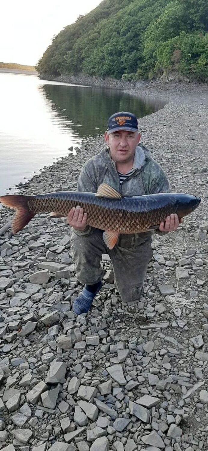 ���� 39442132 ������� ������, 47 ���, ���� ���������� � ����������