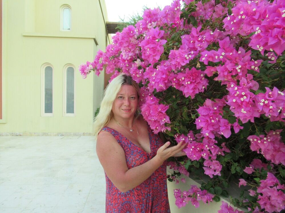  20410362  , 52 ,    -