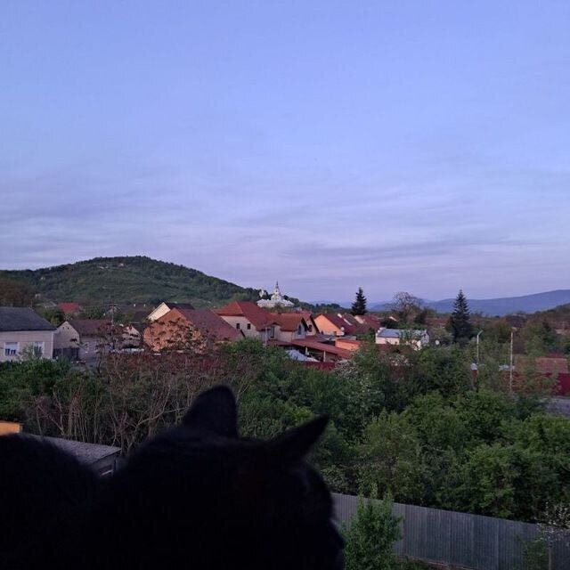  Pruszkow,   , 18 ,   ,   