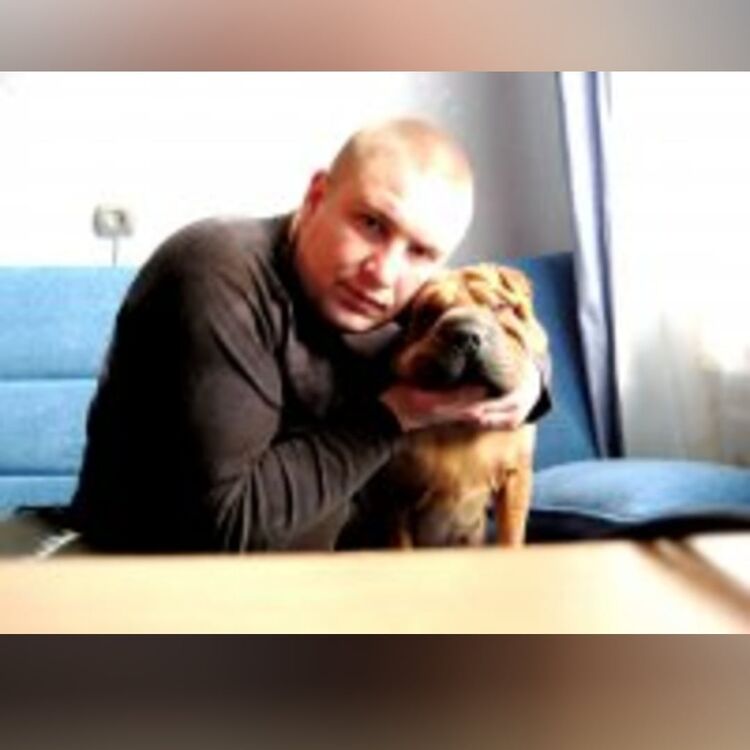 ���� 24830342 ������� �����, 45 ���, ���� ���������� � �����-����������