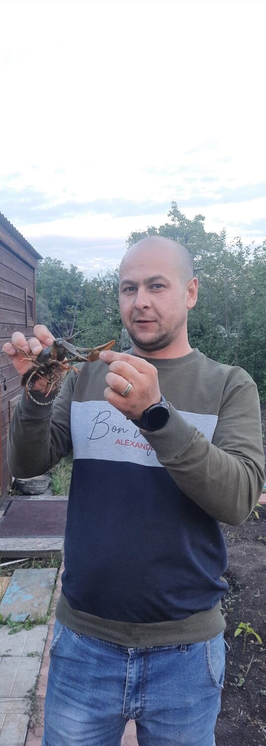 ���� 39371462 ������� ������, 35 ���, ���� ���������� � ����������