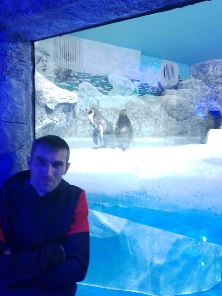 ���������� ����, ���� ������� ����, 40 ���, ������������ ��� ������, ����� � ���������