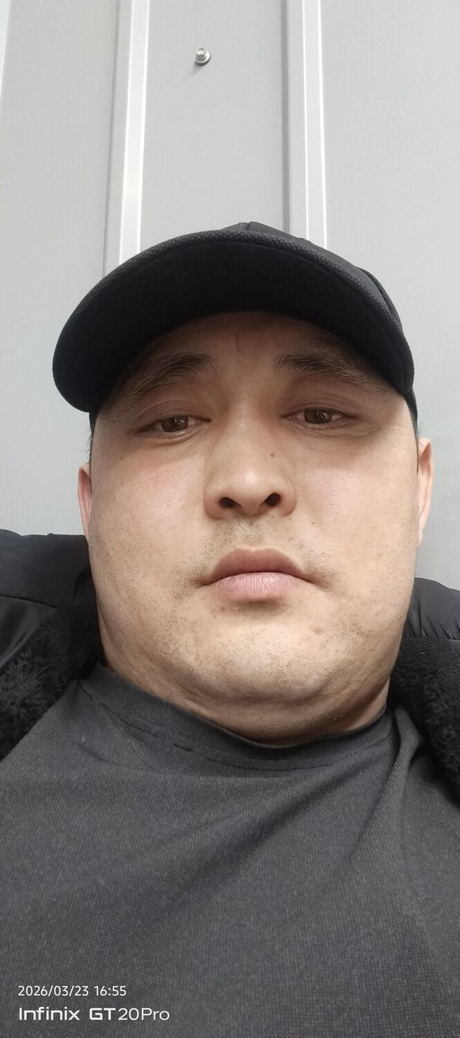 ���� 56094502 ������� ����, 31 ���, ���� ���������� � �������