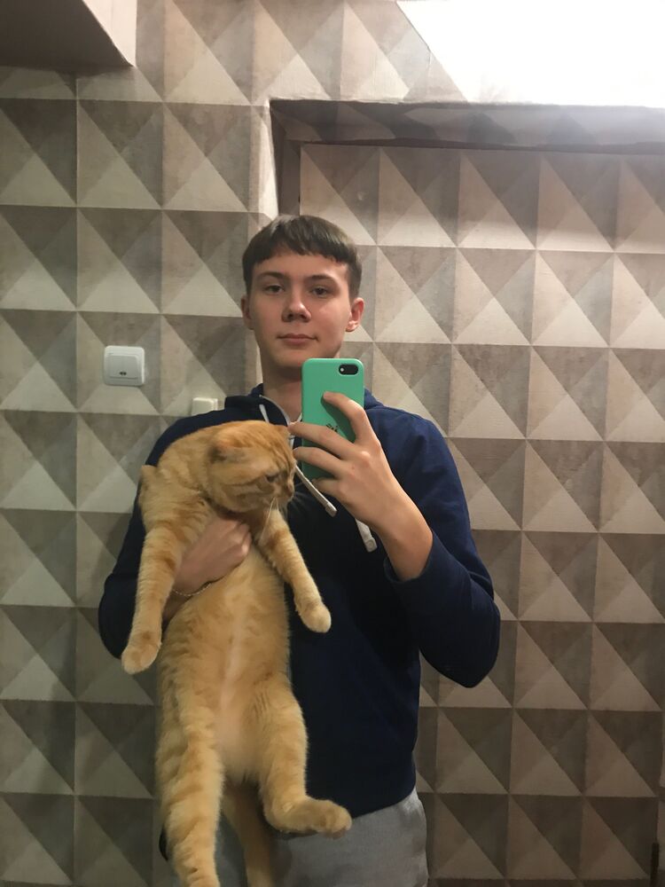 ���� 25549552 ������� ����, 26 ���, ���� ���������� � ���������