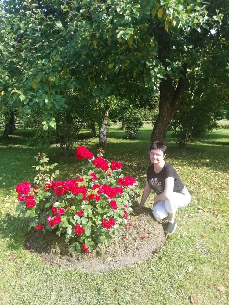  -,   , 43 ,   ,   , c 