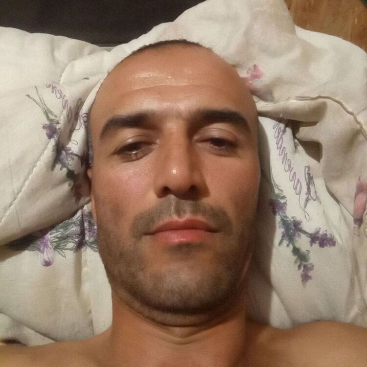  53983152  , 40 ,    -