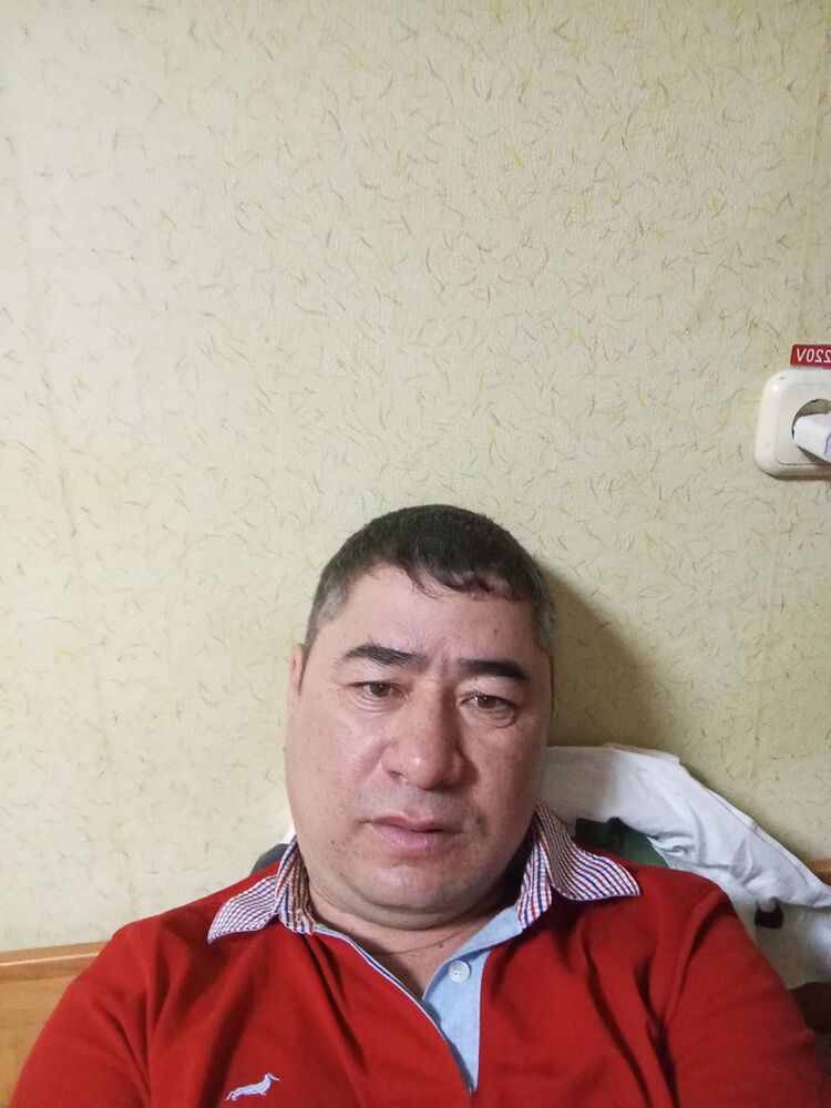  49603462  , 38 ,    