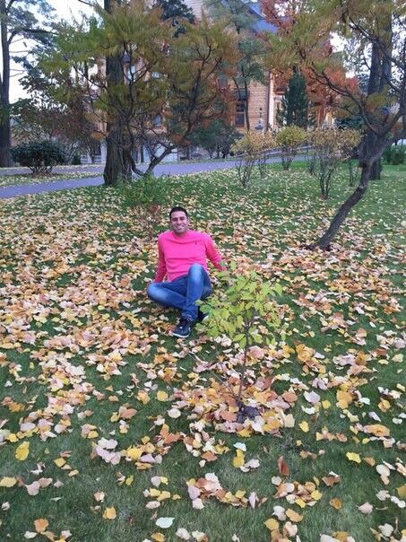  ,   Mudi, 38 ,   ,   , c 