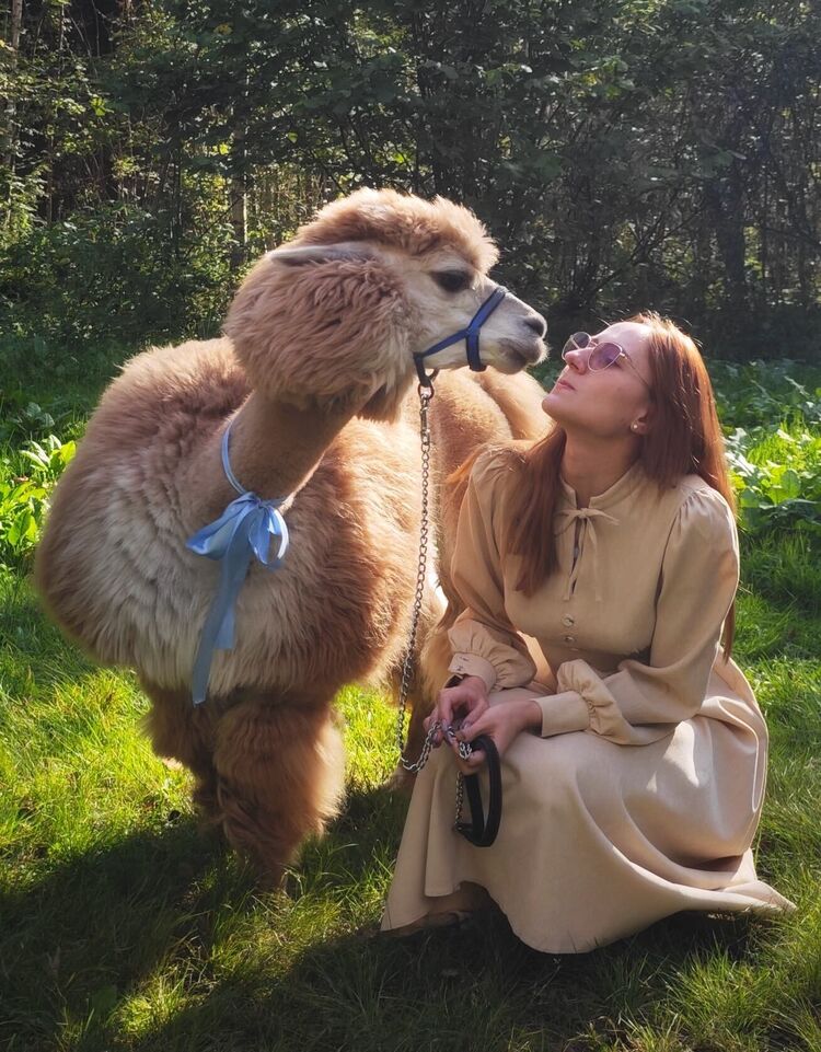 ���� 56519142 ������� Xenia, 26 ���, ���� ���������� � Anqing