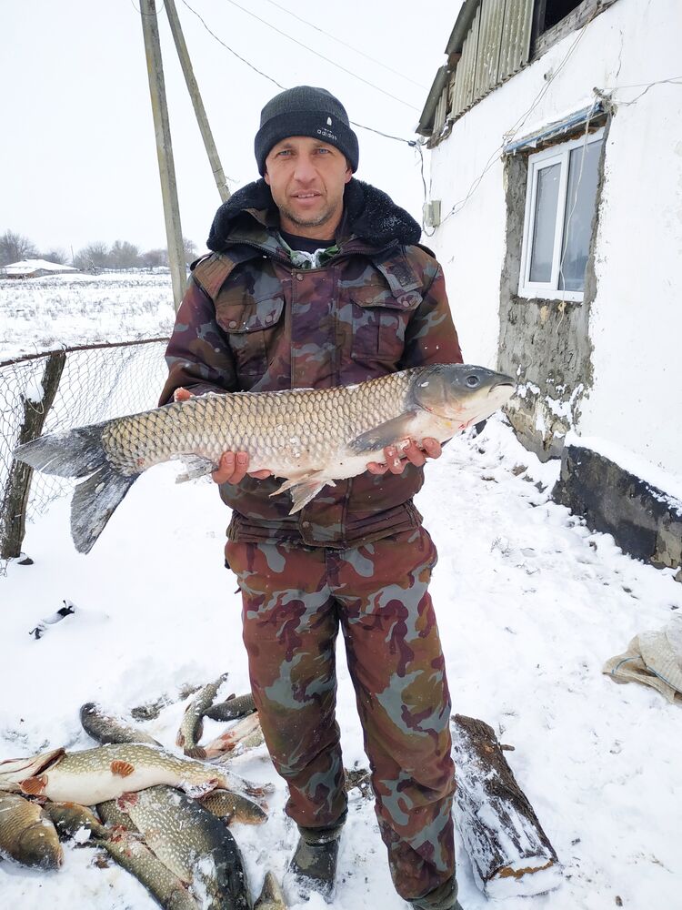 ���������� ������, ���� ������� ������, 43 ����, ������������ ��� ������, ����� � ���������