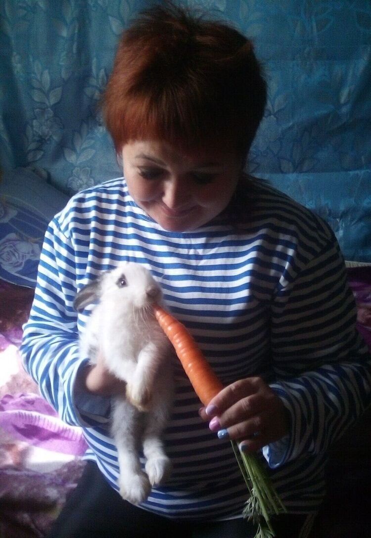 ���������� ��������, ���� ������� ����, 43 ����, ������������ ��� ���������