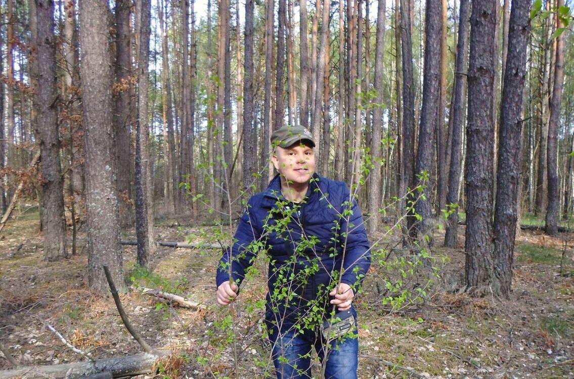 ���������� ������, ���� ������� VILETARI, 42 ����, ������������ ��� ������, ����� � ���������, c�������� ���������