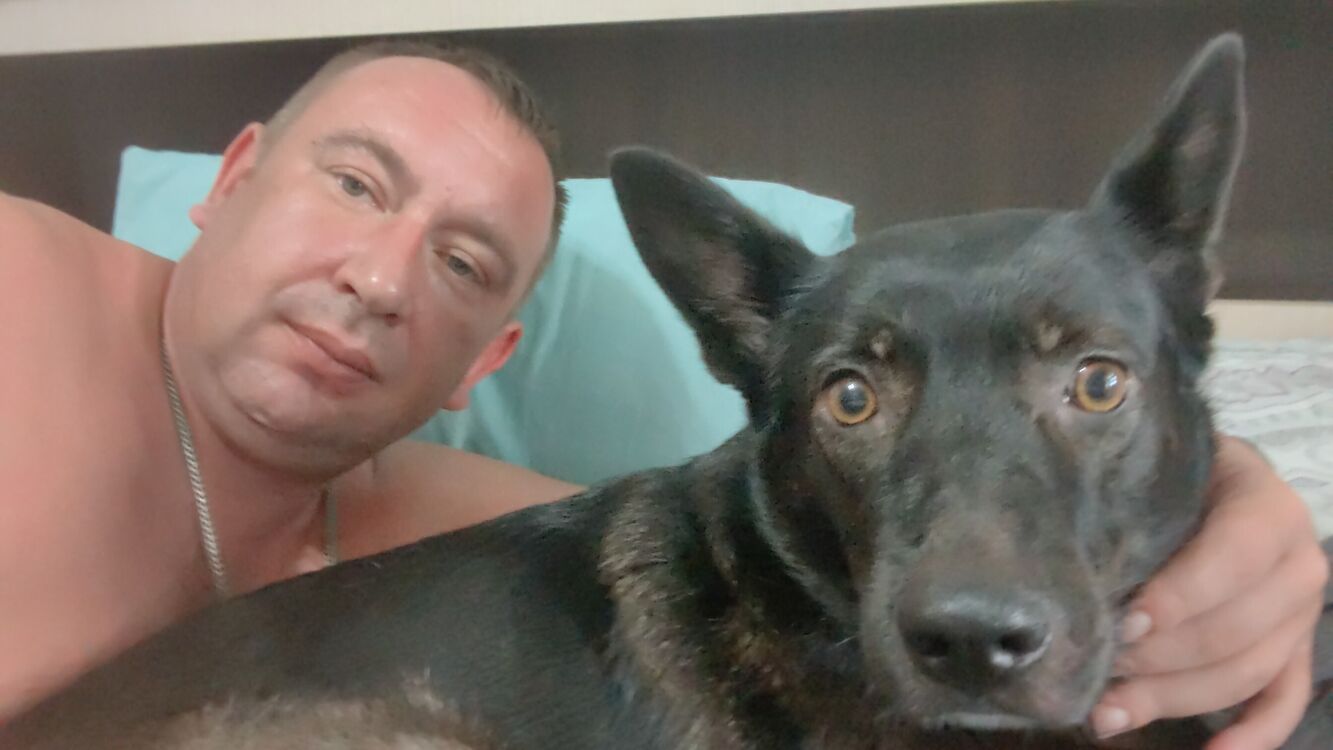 ���������� ���������, ���� ������� ���������, 36 ���, ������������ ��� ������, ����� � ���������