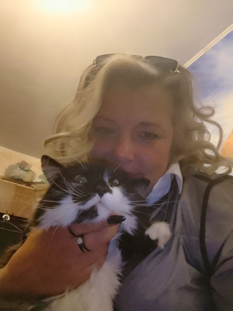 ���� 54663202 ������� �������, 45 ���, ���� ���������� � ���������� ������