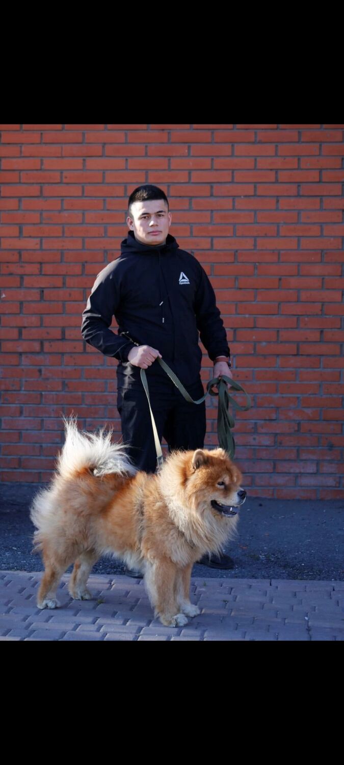 ���� 43196142 ������� ����, 29 ���, ���� ���������� � ��������