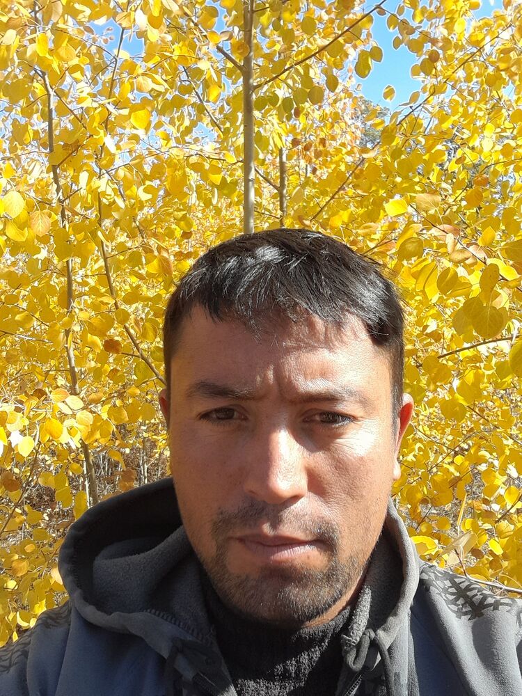 ���������� ����, ���� ������� ����, 37 ���, ������������ ��� ������, ����� � ���������