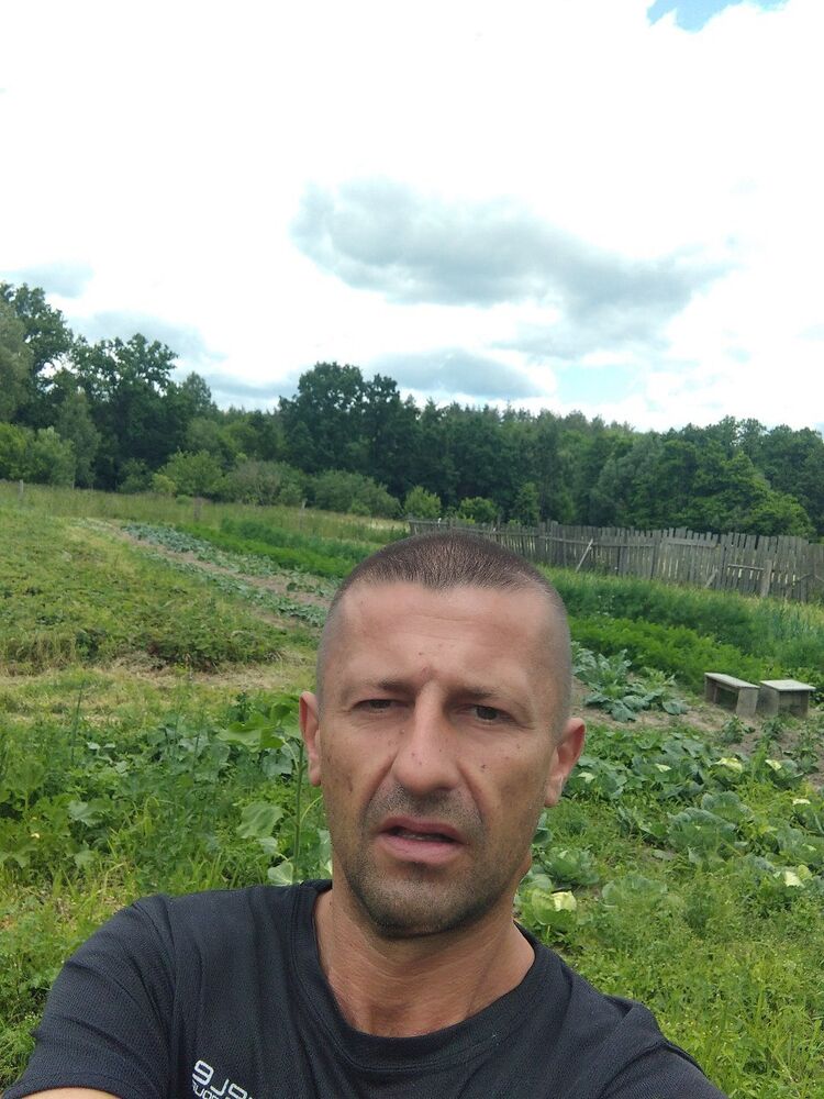  52387172  , 40 ,    