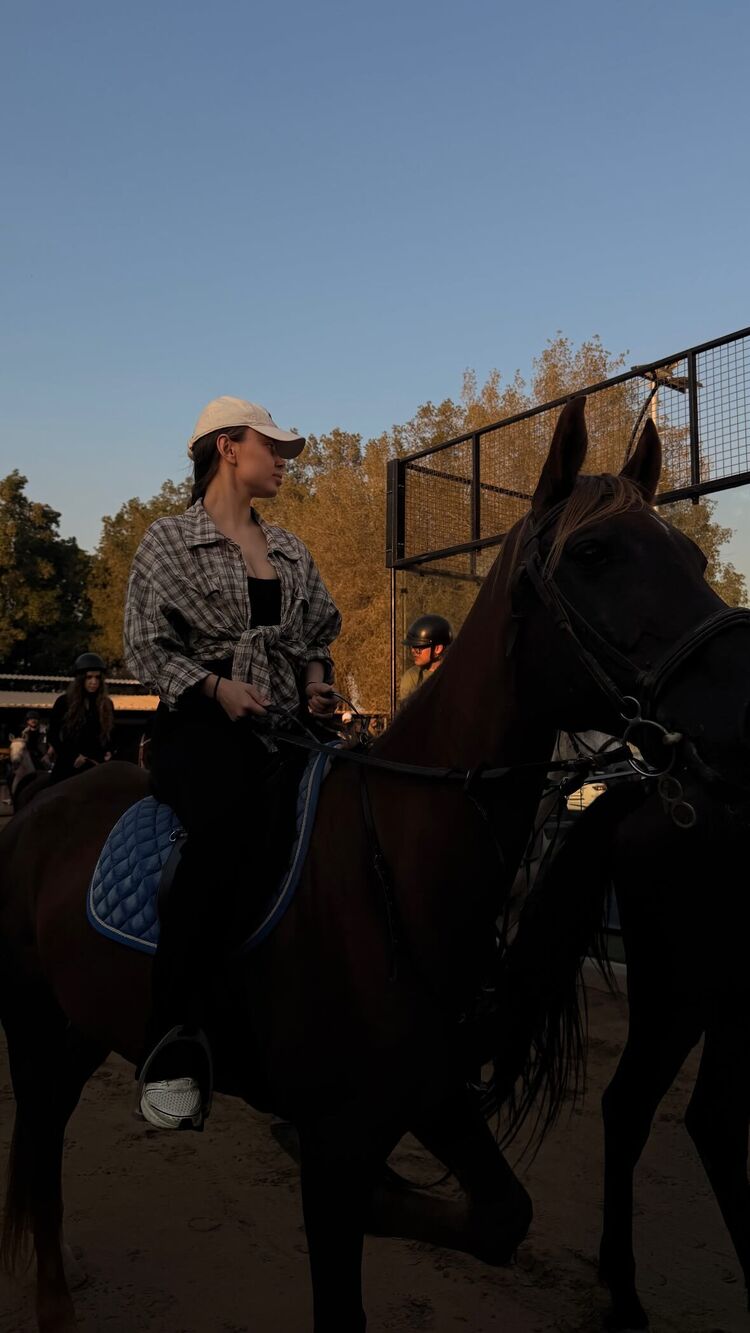 ���� 55795412 ������� ������, 29 ���, ���� ���������� � ���������