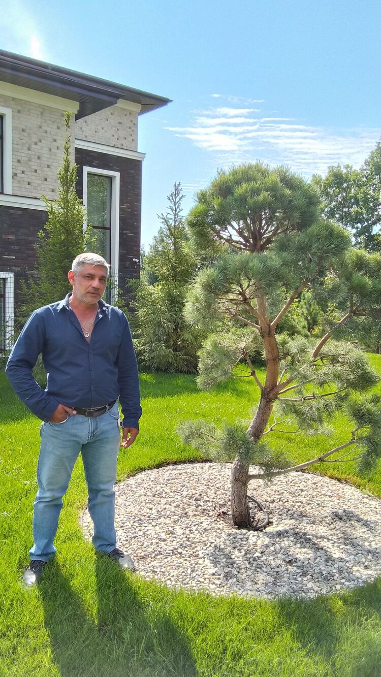 ���� 37043222 ������� ������, 50 ���, ���� ���������� � ���