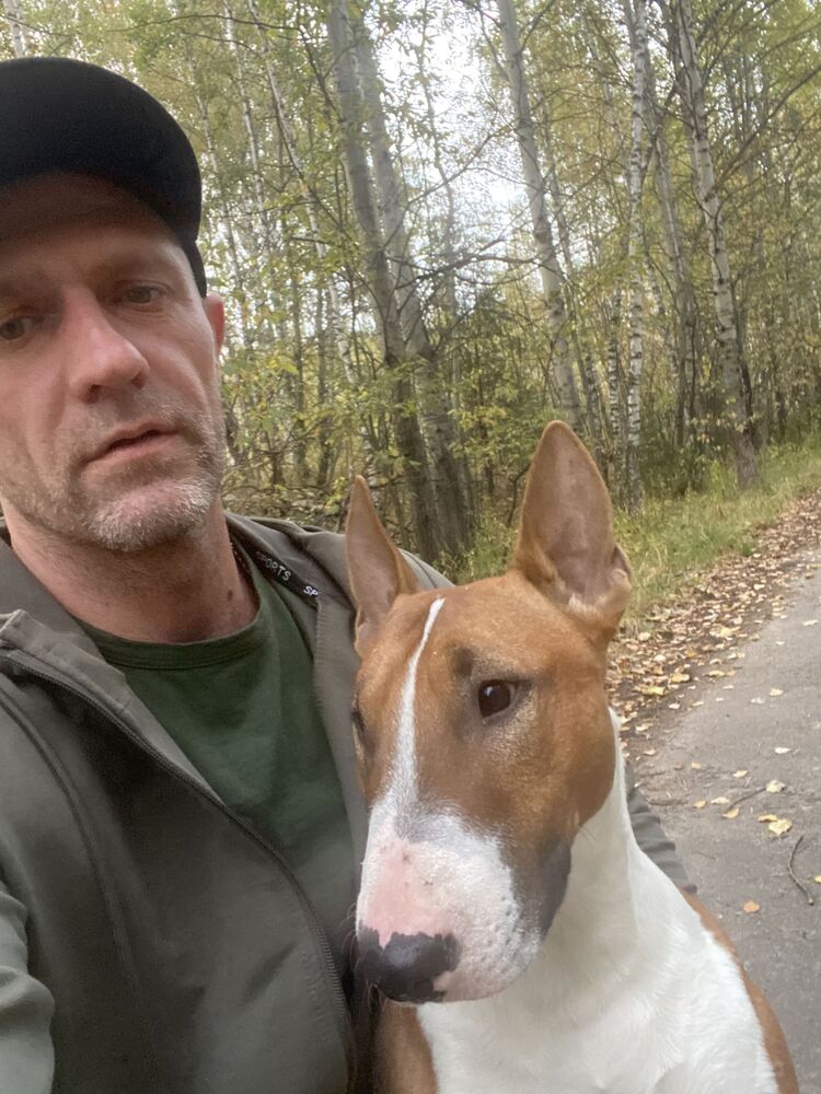 ���� 46635012 ������� ������, 43 ����, ���� ���������� � ������