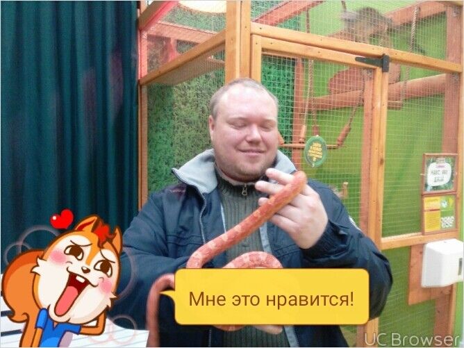  ,   , 44 ,   ,   , c 