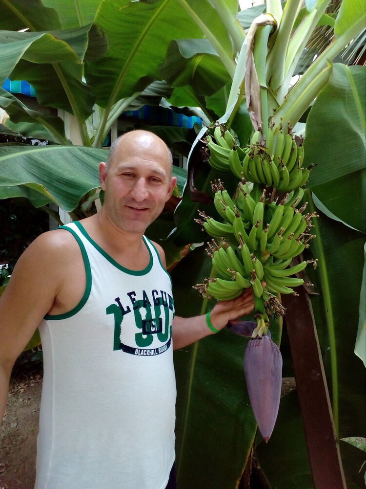  ,   , 50 ,   ,   , c 