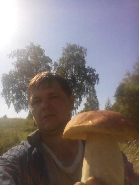 ���������� �����������, ���� ������� ������, 54 ����, ������������ ��� ����� � ���������, c�������� ���������