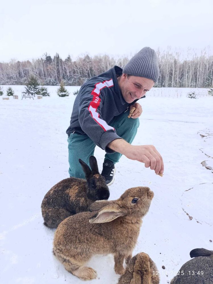  54465962  , 38 ,    --