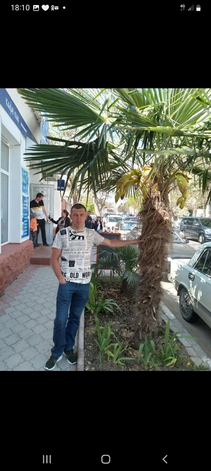  ,   , 44 ,   c 