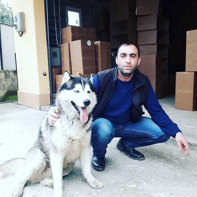 ���� 15349132 ������� ����, 44 ����, ���� ���������� � ������