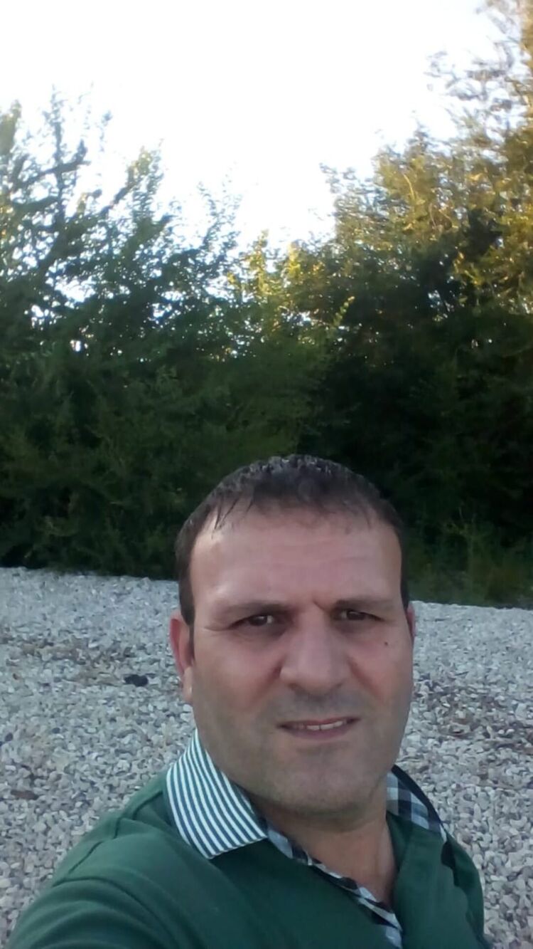 43368272  , 50 ,    