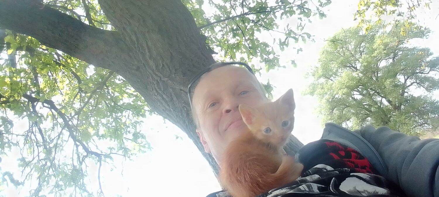  ,    , 44 ,   ,   