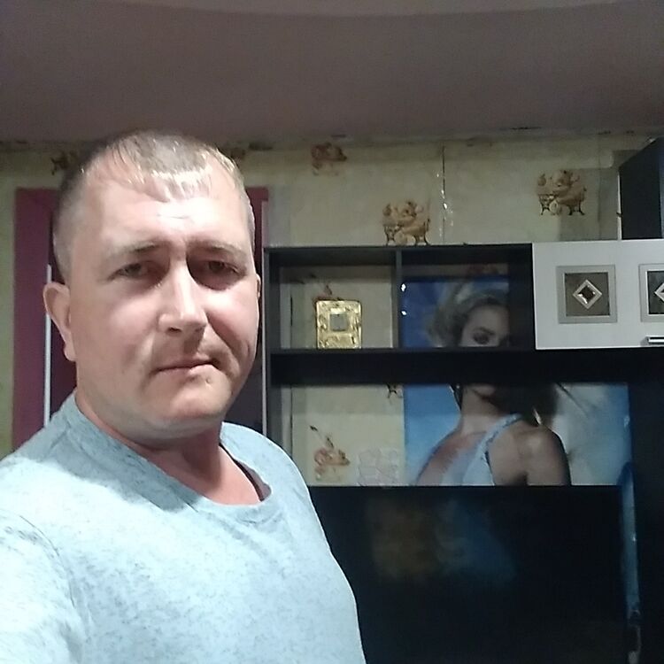 ���� 31167382 ������� ���������, 44 ����, ���� ���������� � �����-����������