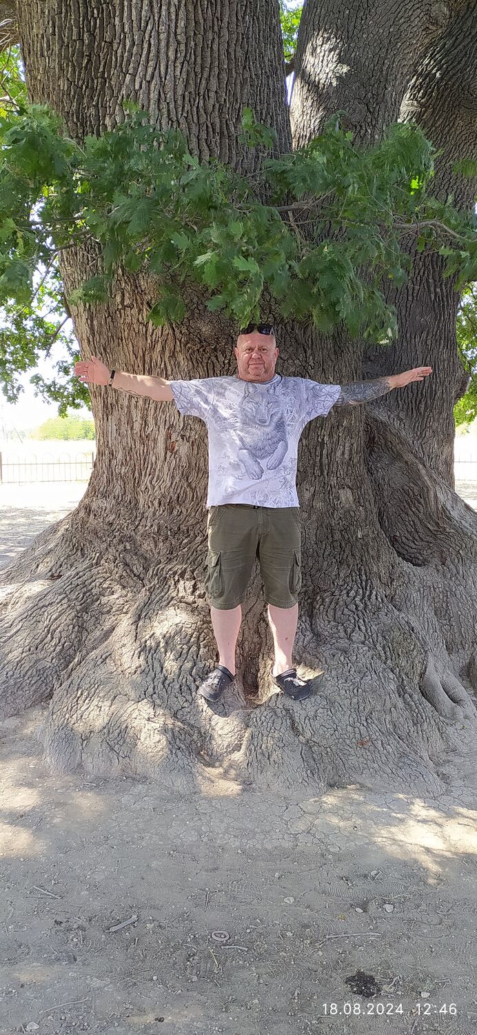 ���� 55553232 ������� ������, 50 ���, ���� ���������� � ����������