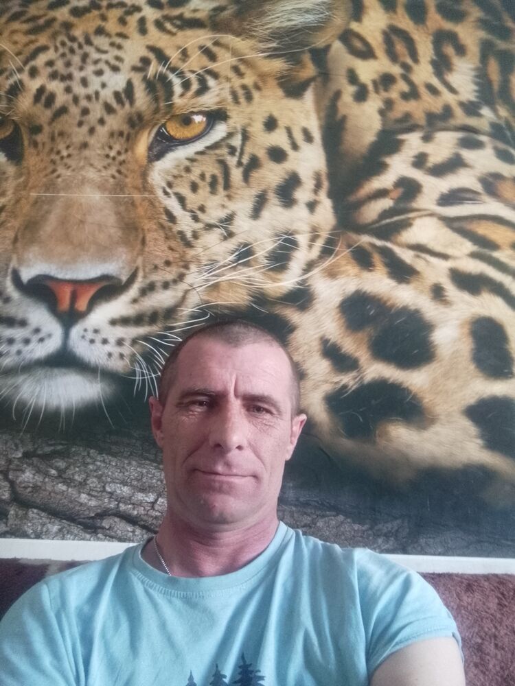  50268852  , 46 ,    
