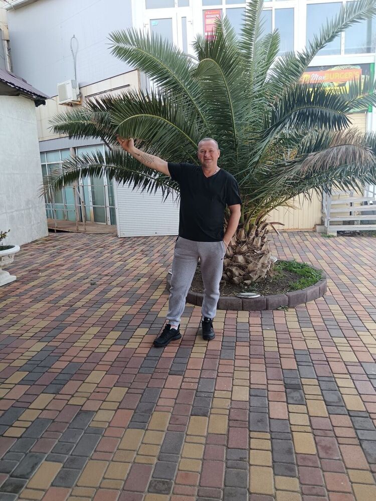  53870212  , 43 ,    