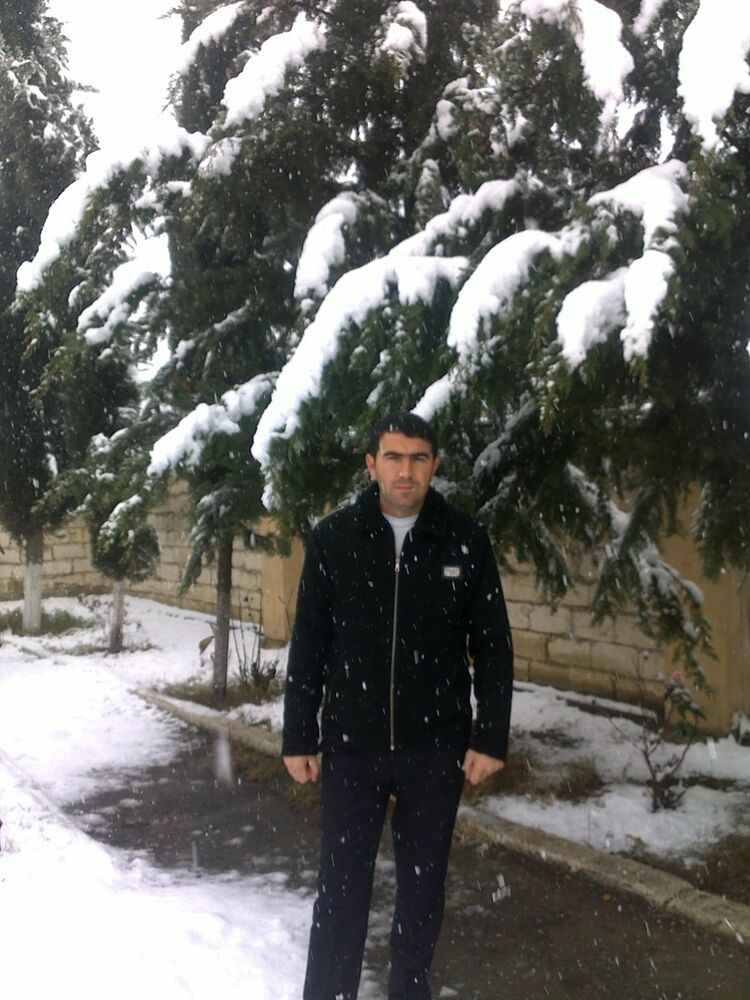 ���������� ����, ���� ������� Ceferov, 38 ���, ������������ ��� ������, ����� � ���������, c�������� ���������