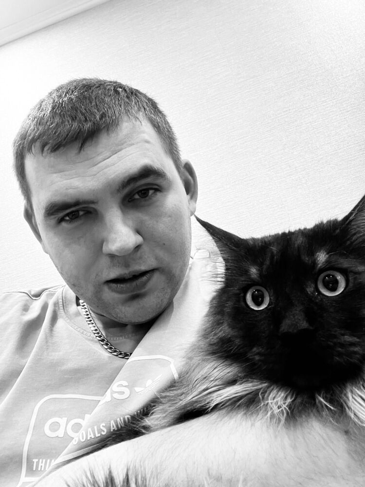 ���������� ������������, ���� ������� ���������, 28 ���, ������������ ��� ������, ����� � ���������, c�������� ���������, ���������