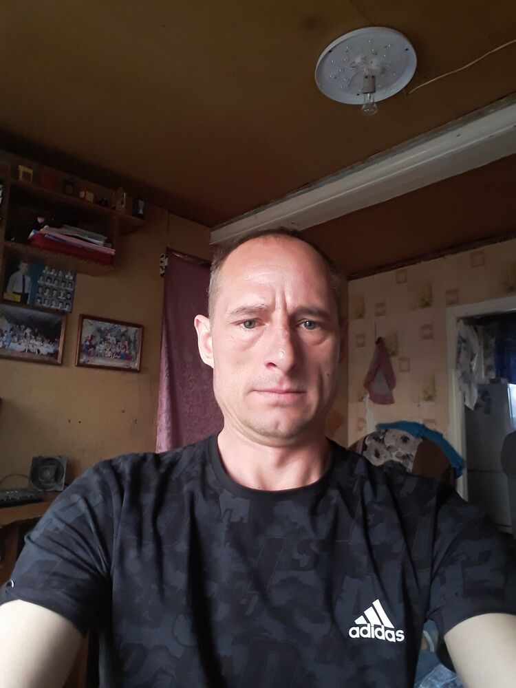  33657032  , 42 ,    