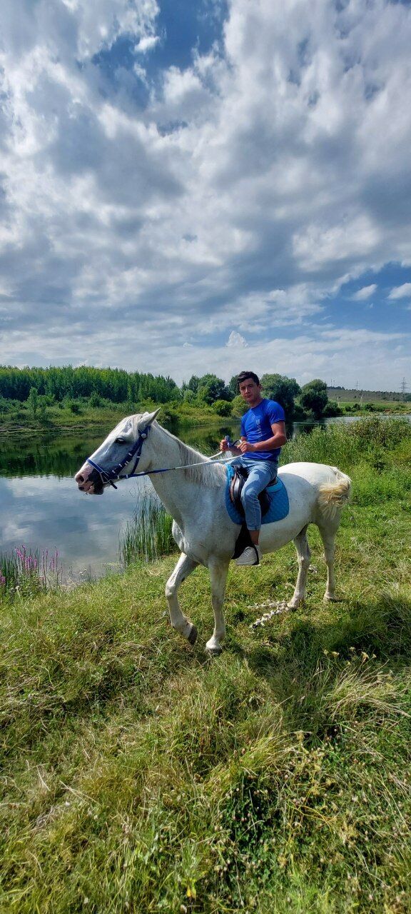 ���������� �����������, ���� ����� ���, 24 ����, ������������ ��� ������, ����� � ���������