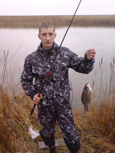 ���������� ����, ���� ������� ����, 40 ���, ������������ ��� ������, ���������