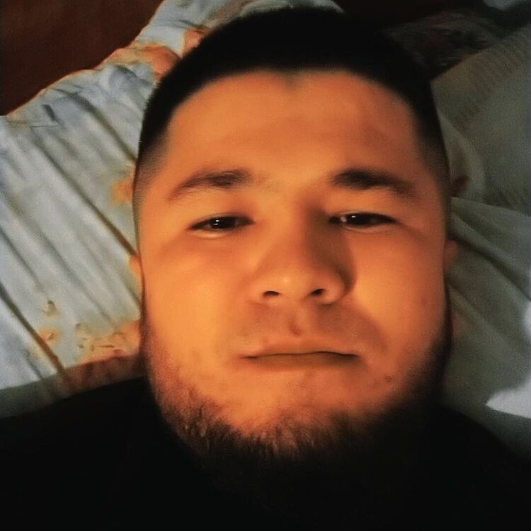  40352242  , 31 ,    