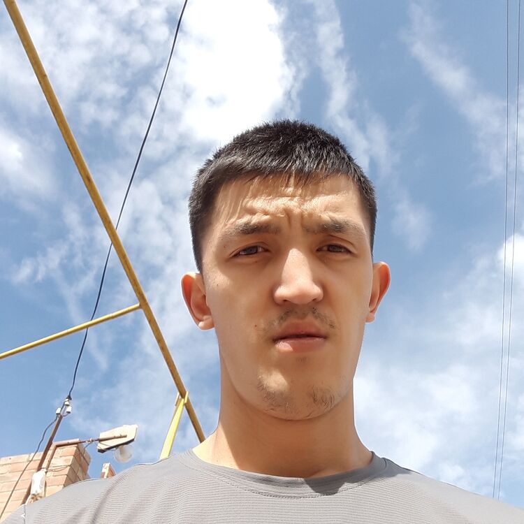  43220002  , 28 ,    