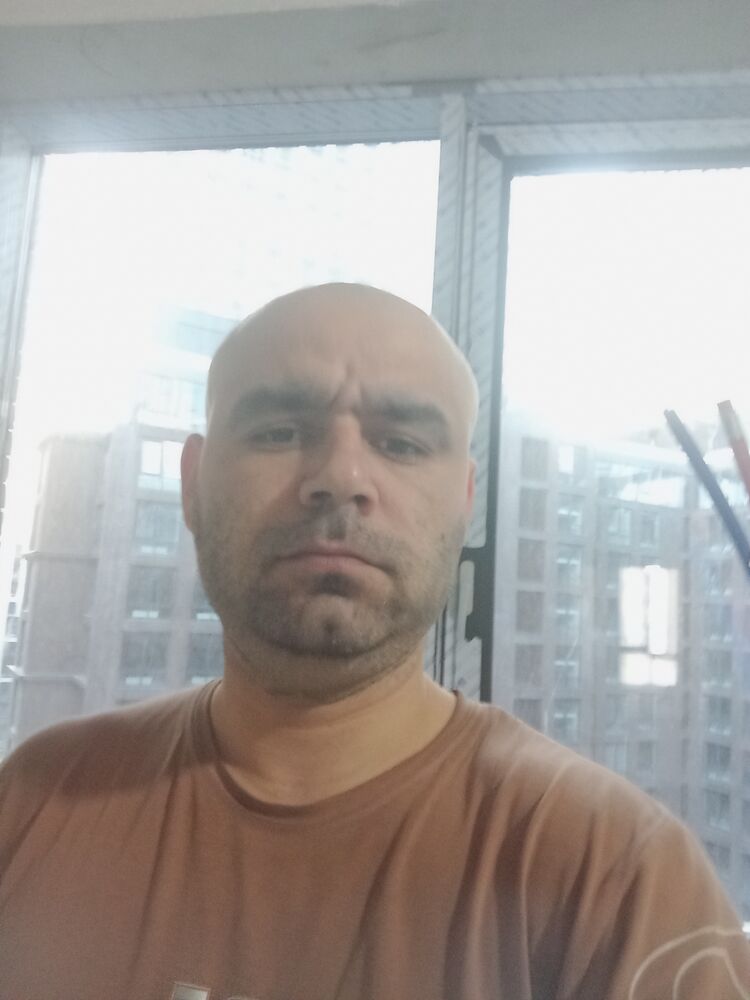  43297682  , 41 ,    