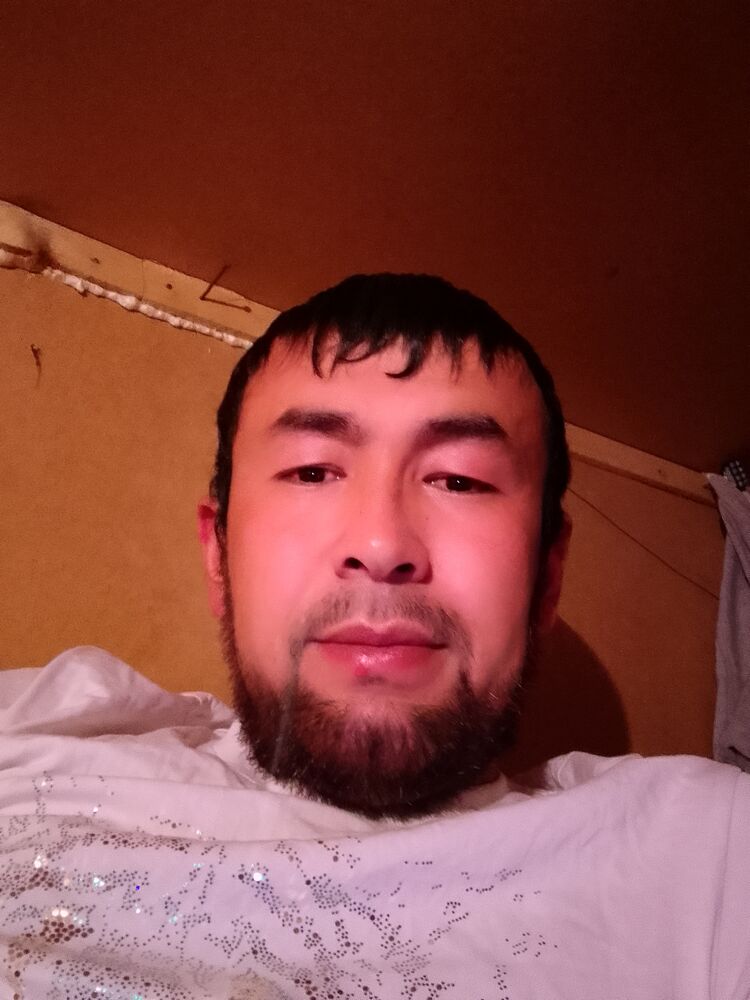  41482332  , 34 ,    -