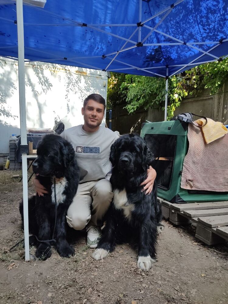 ���������� ������, ���� ����� �������, 24 ����, ������������ ��� ����� � ���������, c�������� ���������