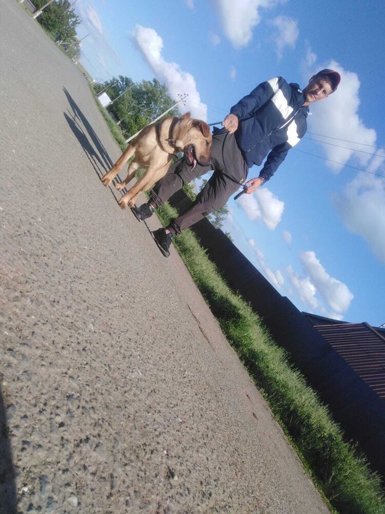 ���� 30878392 ������� ����������, 28 ���, ���� ���������� � �������������